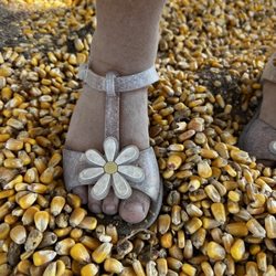 Raprager Family Farms - This picture was taken outside of the corn pit but after my kiddo walked in it. Yuck!! Not a happy mama!
