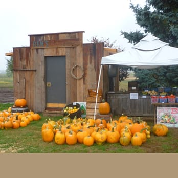 Ben's Farm Fresh Produce - Ben's photo: Fall 2013 pumpkins - Farmers Market Near Me - Forest Grove, Oregon Ben's Farm Fresh Produce - Ben's photo: Fall 2013 pumpkins - Farmers Market Near Me - Forest Grove, Oregon