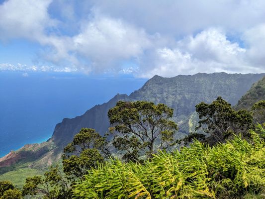 Waimea Canyon State Park by null