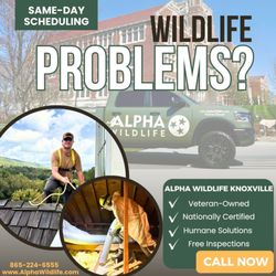 Alpha Wildlife Knoxville