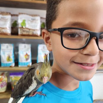 PetGrove - Bird Shops Near Me - Miami, Florida PetGrove - Bird Shops Near Me - Miami, Florida