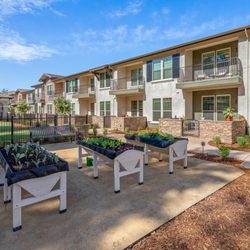 Oakmont of El Dorado Hills - Community garden