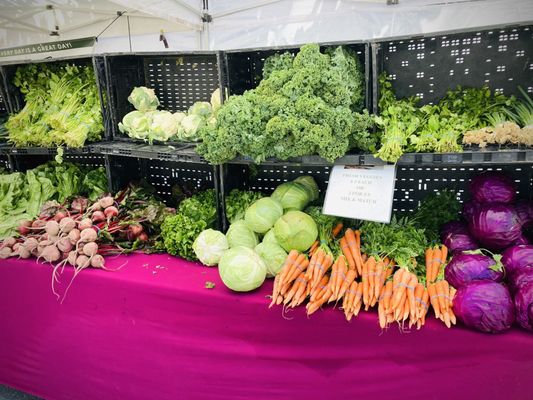 The Riverside Downtown Farmers Market by null