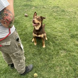 Adopted our boy from here today! We love him. Adopted our boy from here today! We love him.