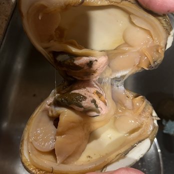 Ocean Seafood Market - 贵妃蚌 cherrystone - Seafood Markets Near Me - San Francisco, California Ocean Seafood Market - 贵妃蚌 cherrystone - Seafood Markets Near Me - San Francisco, California