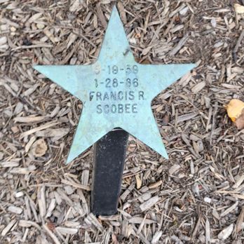 Astronaut Grove - Memorial star - Parks Near Me - Westerville, Ohio Astronaut Grove - Memorial star - Parks Near Me - Westerville, Ohio