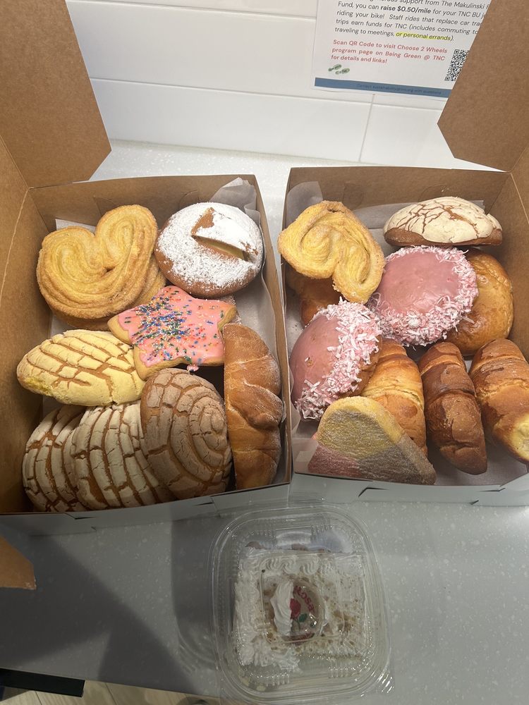 PANADERIA SABOR A MEXICO BAKERY Updated September 2024 26 Photos