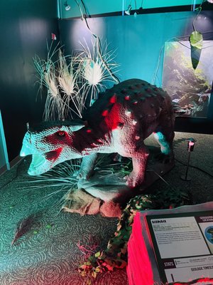 Museum of Science & Industry by null