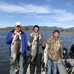 Absolute Angling Guide Service - Tillamook Bay Fall Chinook