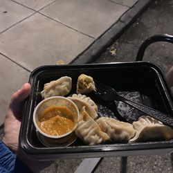 Tempo Shack - Chicken dumplings