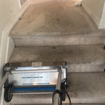 Vast Flooring Solutions - Carpet power scrubbing - Carpet Cleaning Near Me Vast Flooring Solutions - Carpet power scrubbing - Carpet Cleaning Near Me