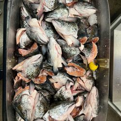 Island Pacific Supermarket - da Salmon heads