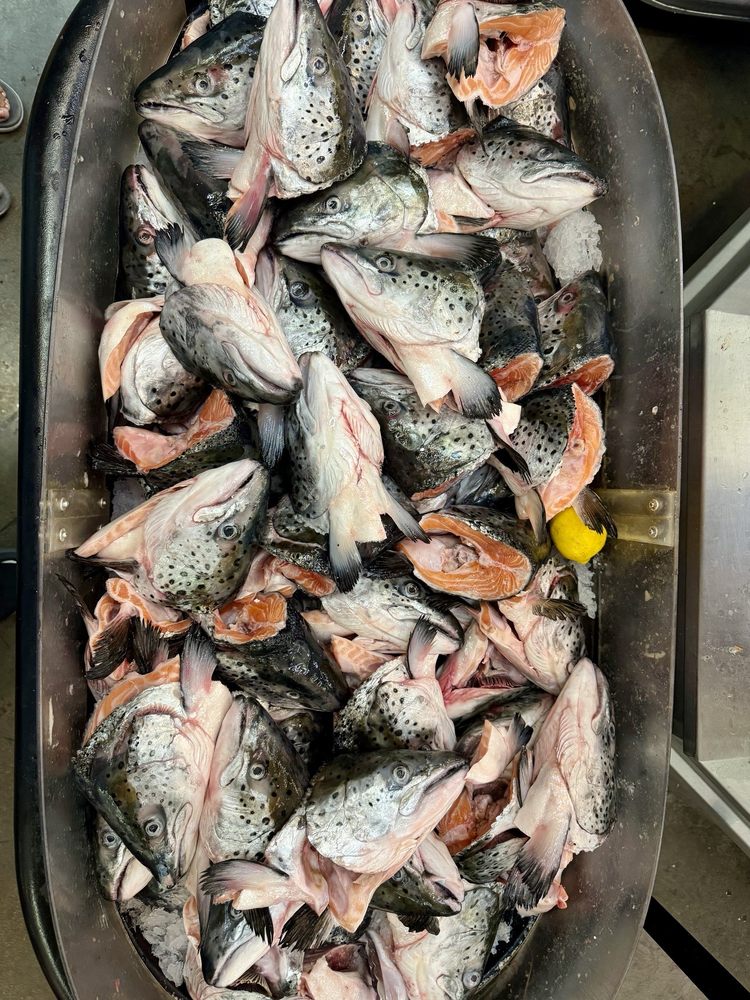 Island Pacific Supermarket
