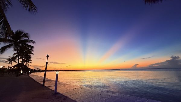 Reefhouse Resort & Marina by null