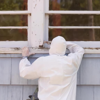 American Plus - Environmental Abatement Near Me American Plus - Environmental Abatement Near Me