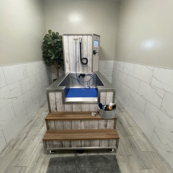 Waggin' Tails Dog Wash - Room with automated dog wash system - Pet Groomers Near Me - Gilbert, Arizona