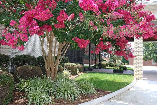CAVIN-COOK FUNERAL HOME & CREMATORY - Updated July 2026 - 24 Photos