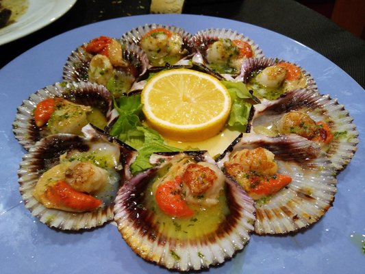 A Casa do Pulpo by null