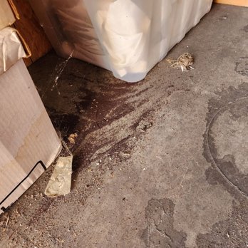 Public Storage - Look at all the termite droppings!! - Self Storage Near Me - Torrance, California Public Storage - Look at all the termite droppings!! - Self Storage Near Me - Torrance, California