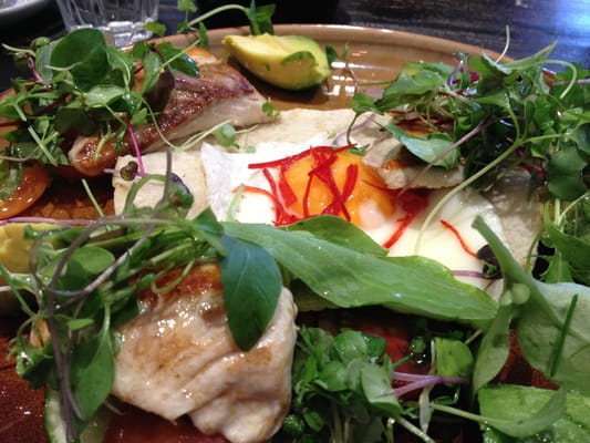 Top Paddock Cafe by null