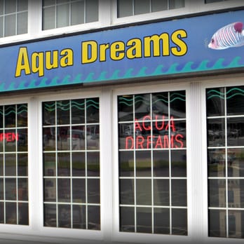 Aqua Dreams - Visit Us! - Pet Stores Near Me - Canton, Connecticut Aqua Dreams - Visit Us! - Pet Stores Near Me - Canton, Connecticut