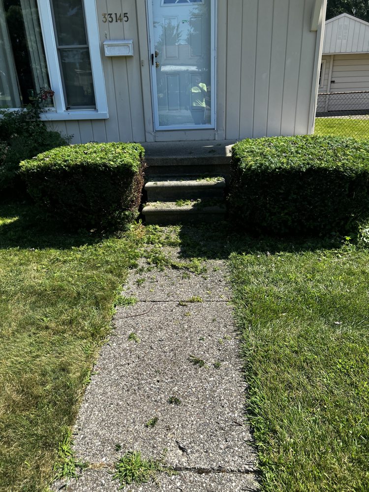 Slide of Shawn's Botany and Lanscaping