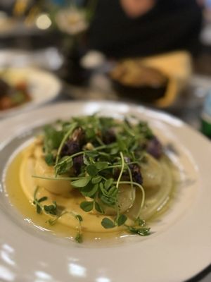 Songbird Parlour by null