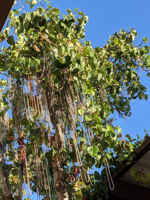 Photo of NOLA Restaurant & Bar - Palo Alto, CA, US. Decorations