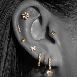 Wildlike - Piercing inspiration/ styling