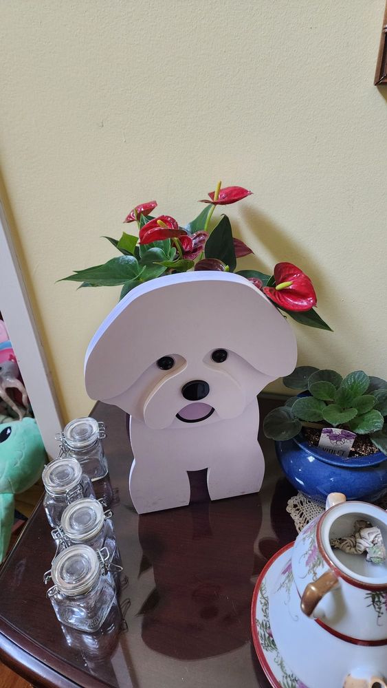 Fur Real Reliable Pet Care - pet boarding facility in West Bloomfield, MI
