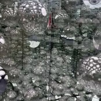 WNDR Museum - Art Museums Near Me - Chicago, Illinois