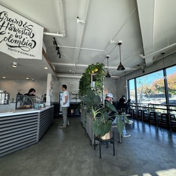 The Boy & The Bear - Seats - Coffee Roasteries Near Me - Westchester, California
