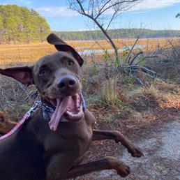 Penny having the absolute best time with Elle! Penny having the absolute best time with Elle!