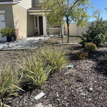 ShrubGator - The "before" picture. We needed SHRUBGATOR! - Irrigation Near Me - Menifee, California ShrubGator - The "before" picture. We needed SHRUBGATOR! - Irrigation Near Me - Menifee, California
