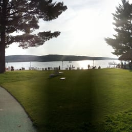 The view