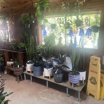 Cambria Nursery and Florist - Houseplants Shed - Nurseries & Gardening Near Me - Cambria, California Cambria Nursery and Florist - Houseplants Shed - Nurseries & Gardening Near Me - Cambria, California