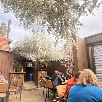 Honeybees - Outside patio - Coffee & Tea Near Me - San Diego, California Honeybees - Outside patio - Coffee & Tea Near Me - San Diego, California