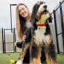 K9 Resorts Luxury Pet Hotel - Greece