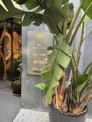 MR PORTER Barcelona by null