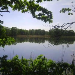 Teiche