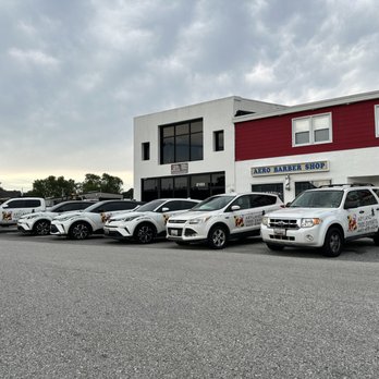 Maryland Tree Experts - Tree Services Near Me - White Marsh, Maryland Maryland Tree Experts - Tree Services Near Me - White Marsh, Maryland
