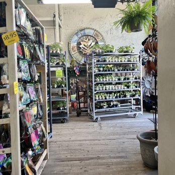 PLANTERS SEED & SPICE - Updated June 2026 - 39 Photos & 51 Reviews - 513  Walnut St, Kansas City, Missouri - Nurseries & Gardening - Phone Number -  Yelp