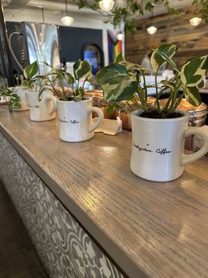 Aviano Coffee Cherry Creek North by null