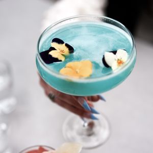 Frolik Kitchen + Cocktails on Yelp