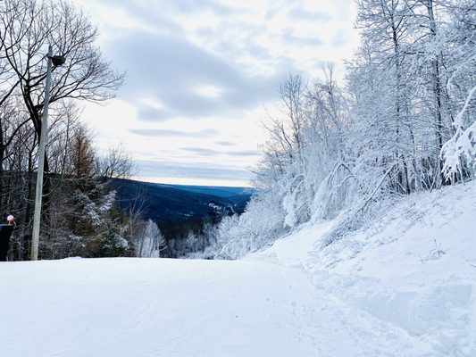 Bristol Mountain Ski Resort by null