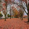 Tom McCall Waterfront Park gift card