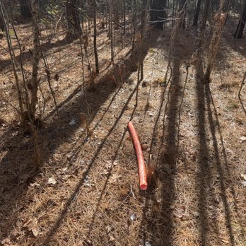 Brightspeed - 25 yard pass deep into the forest. Whoever threw this one should try out for quarterback. - Internet Service Providers Near Me Brightspeed - 25 yard pass deep into the forest. Whoever threw this one should try out for quarterback. - Internet Service Providers Near Me