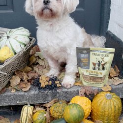 Hemp It UP! - Treatibles help create balance and provide support for a myriad of conditions for your animal companions. Hemp oil (CBD) for your pets!