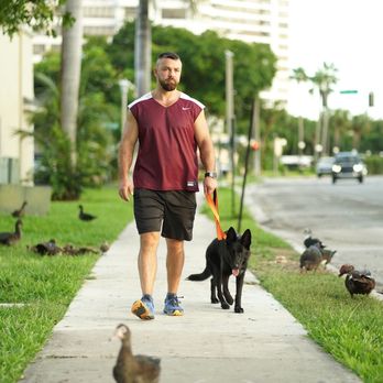 Taser k9 - Pet Boarding Near Me Taser k9 - Pet Boarding Near Me