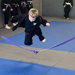Phoenix BJJ